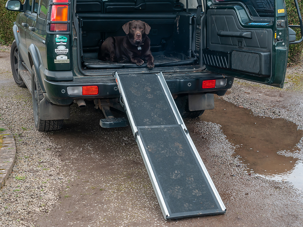 Hi, will the dog ramp attach to the drop down tailgate of  a L322  with the trajectory of climb not steep?