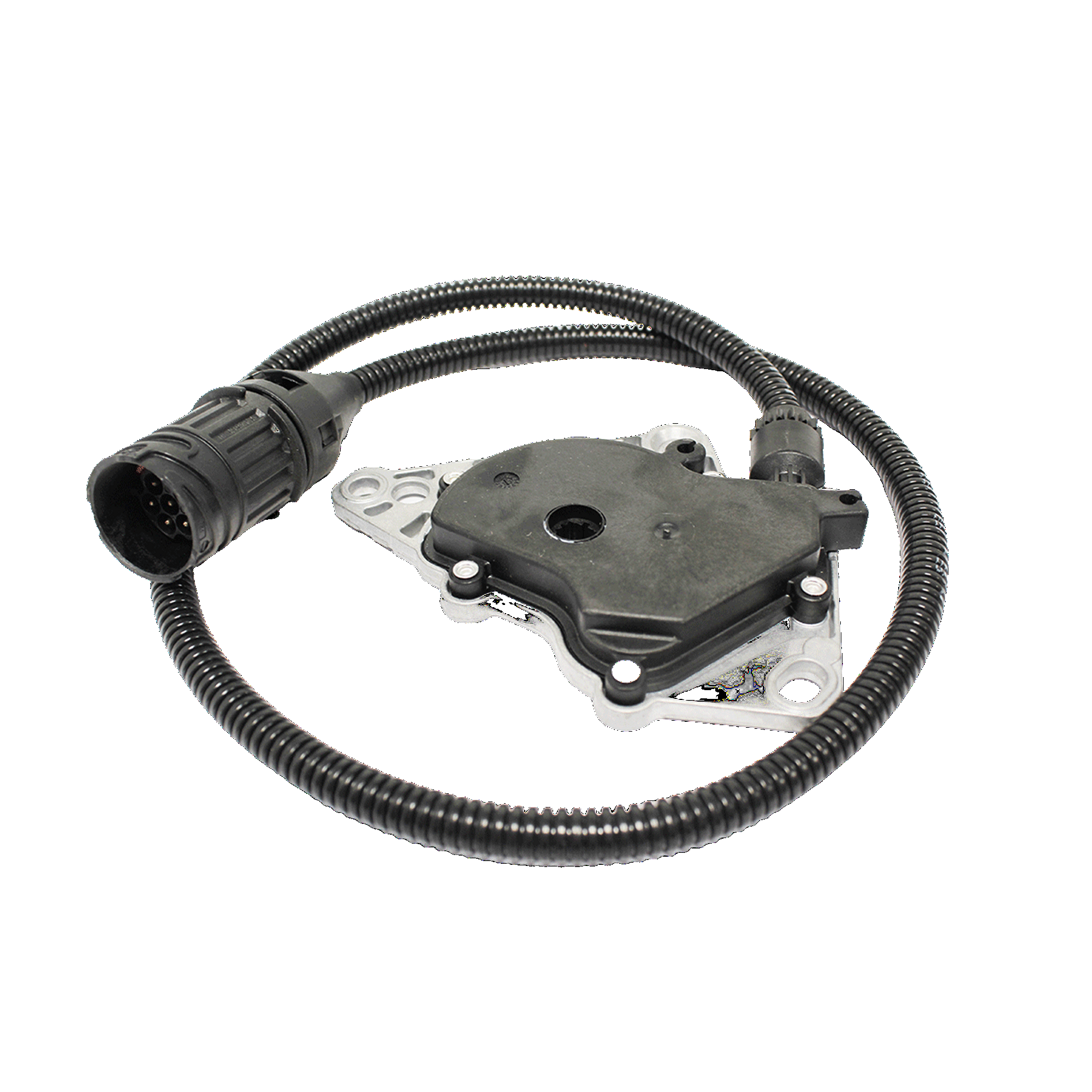 compatible with 2006 4.4 L V8 Range Rover HSE?